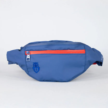 Banano UNIVERSIDAD DE CHILE Moose