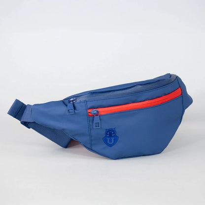 Banano UNIVERSIDAD DE CHILE Moose