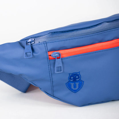Banano UNIVERSIDAD DE CHILE Moose
